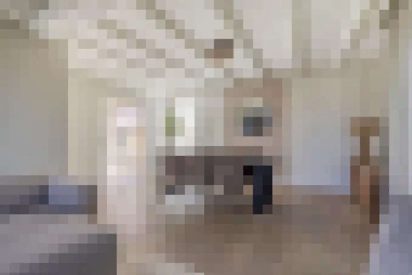 Laageindsedijk 3 Rijkevoort thumbnail 16