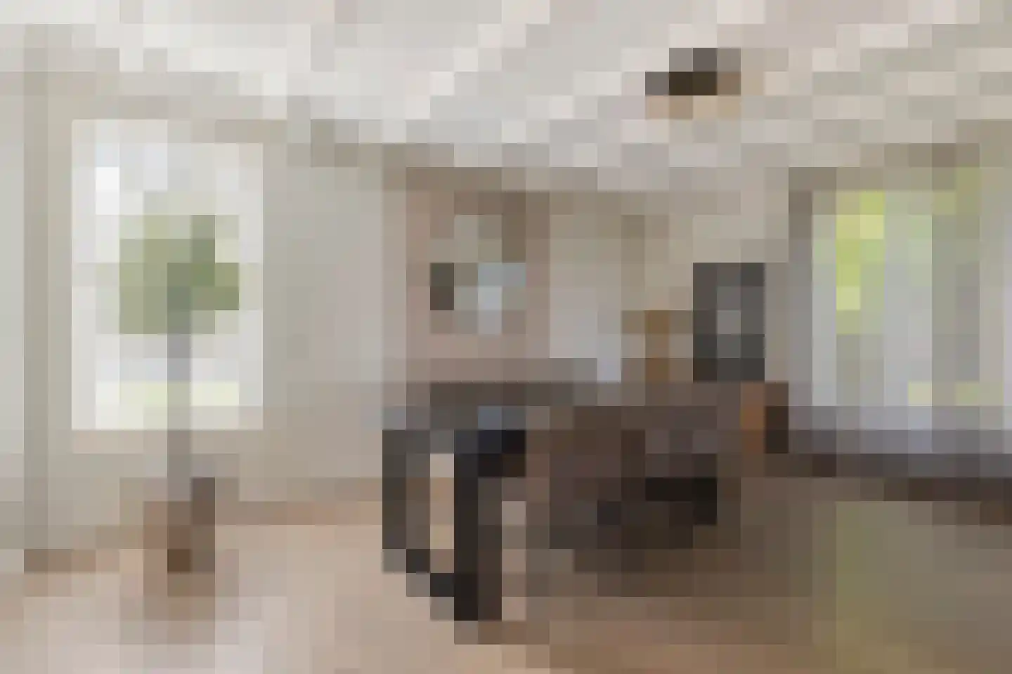 Laageindsedijk 3 Rijkevoort thumbnail 17