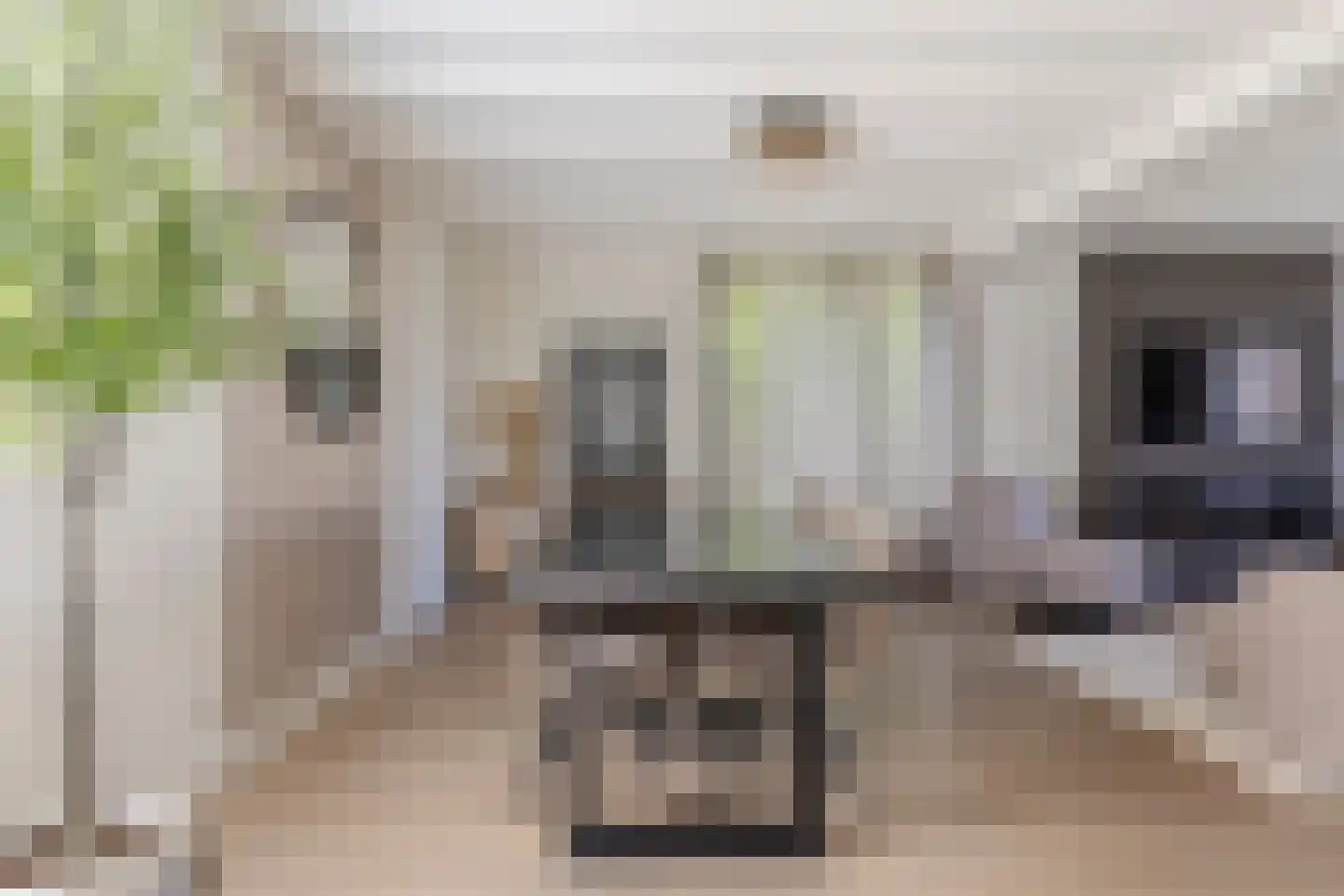 Laageindsedijk 3 Rijkevoort thumbnail 18