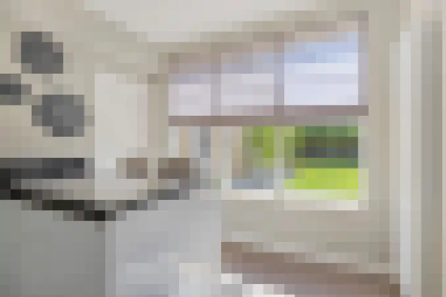 Laageindsedijk 3 Rijkevoort thumbnail 20