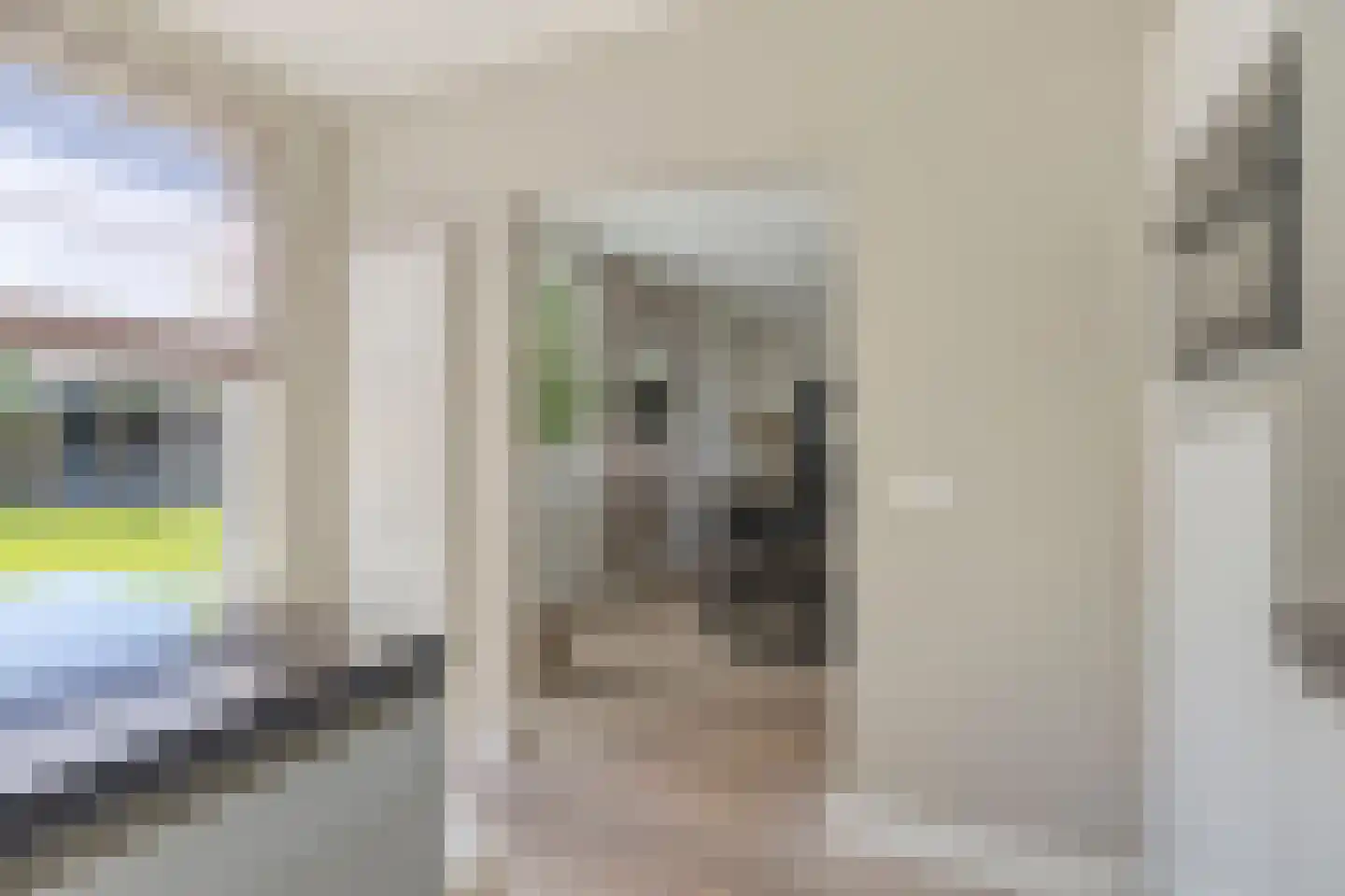 Laageindsedijk 3 Rijkevoort thumbnail 21