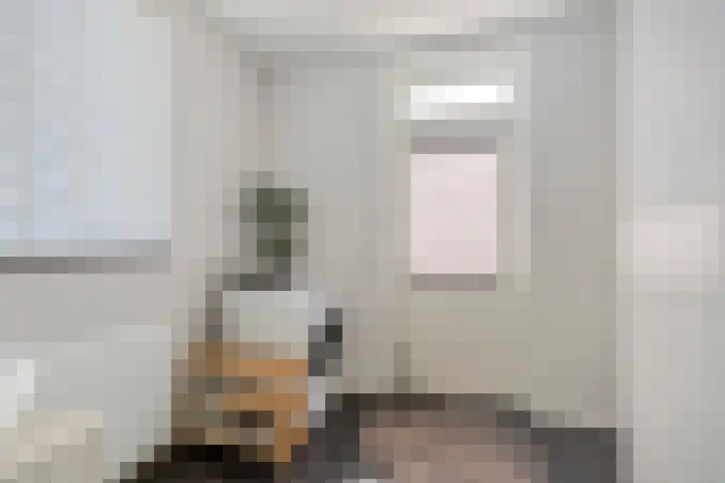 Laageindsedijk 3 Rijkevoort thumbnail 22