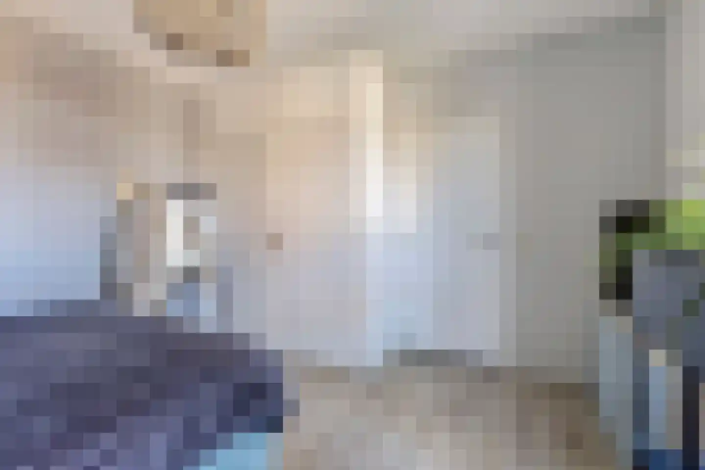 Laageindsedijk 3 Rijkevoort thumbnail 26