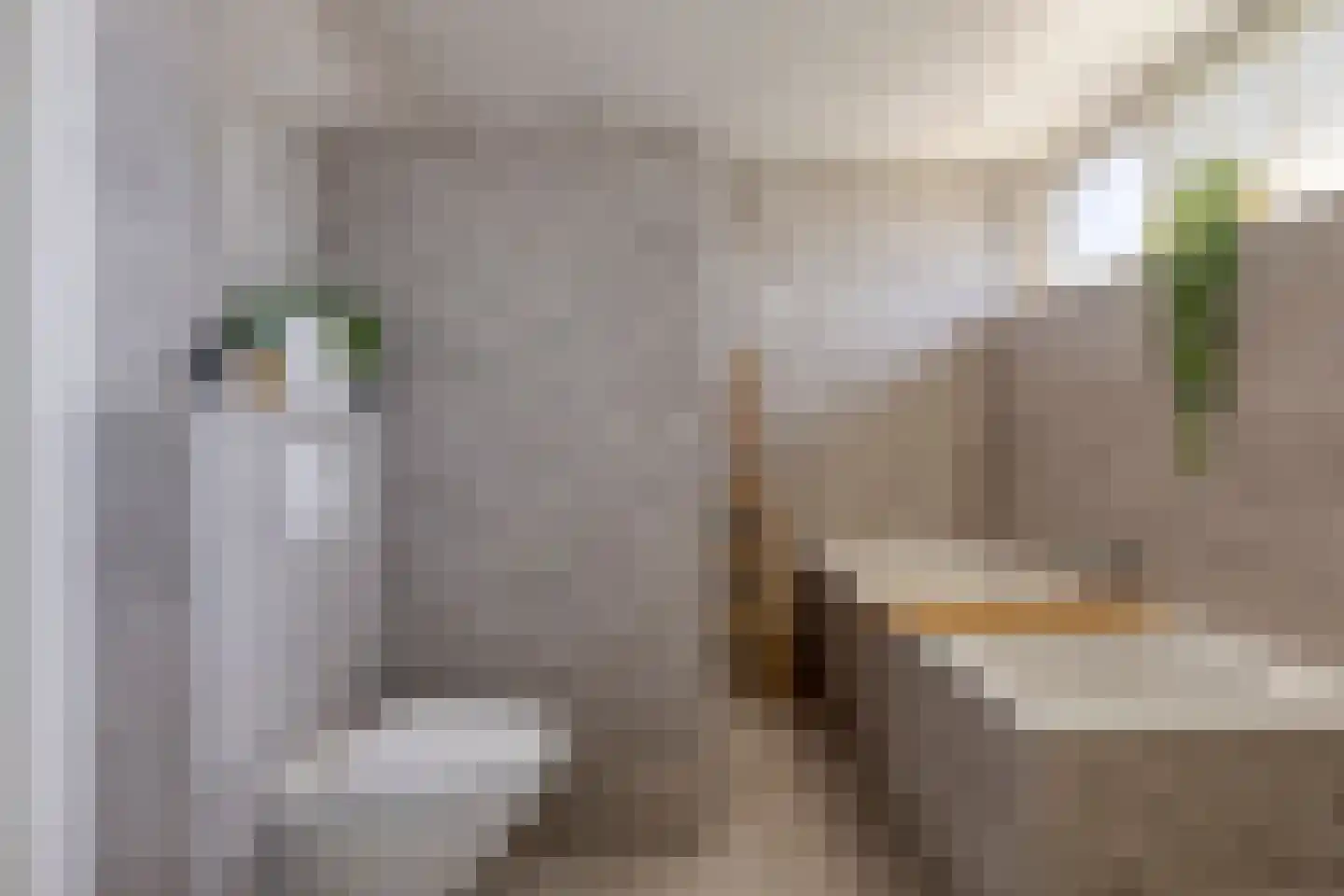 Laageindsedijk 3 Rijkevoort thumbnail 33