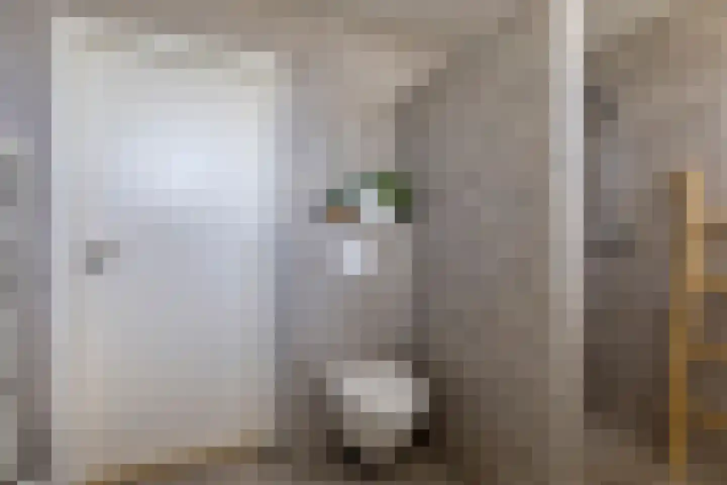 Laageindsedijk 3 Rijkevoort thumbnail 34