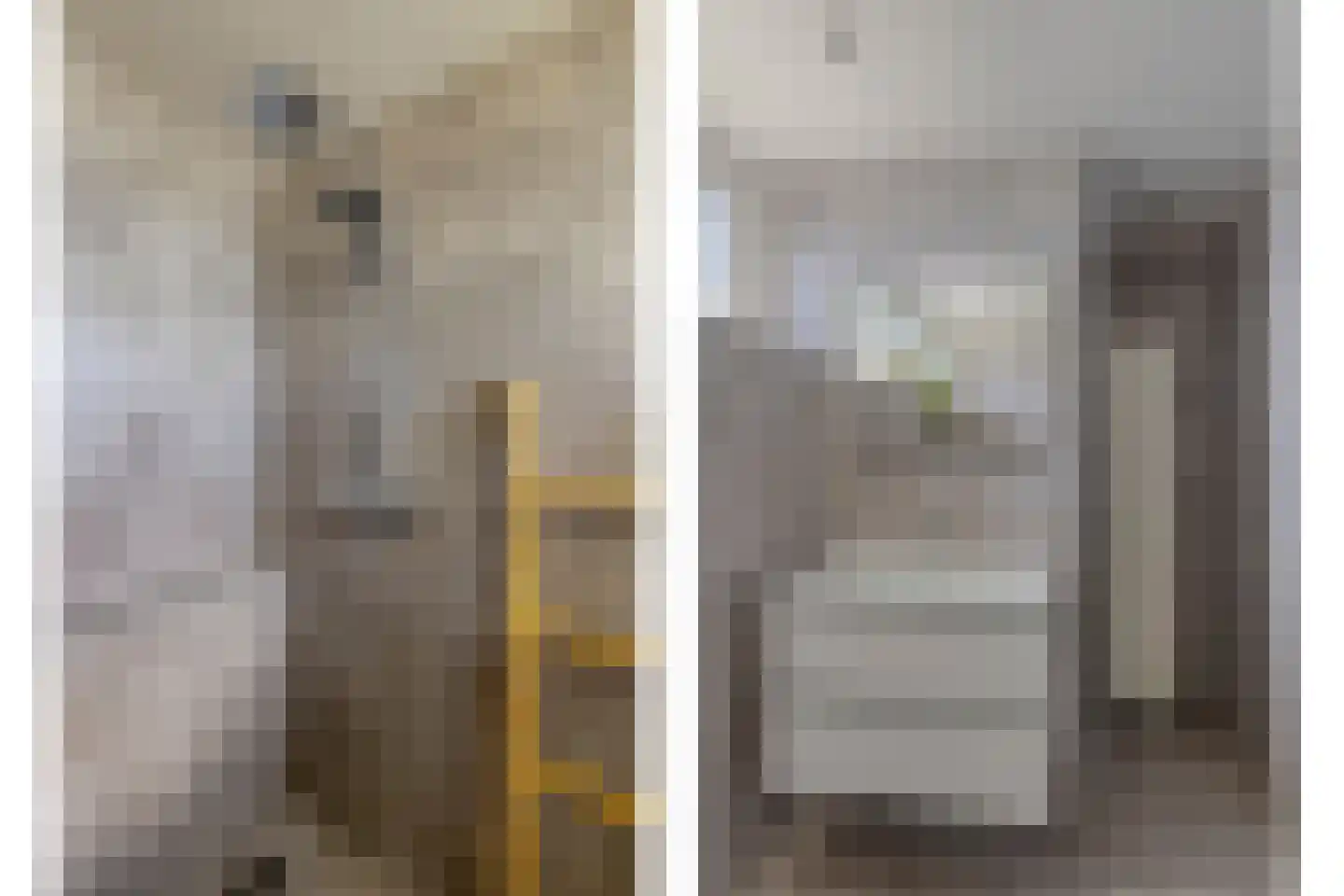 Laageindsedijk 3 Rijkevoort thumbnail 35