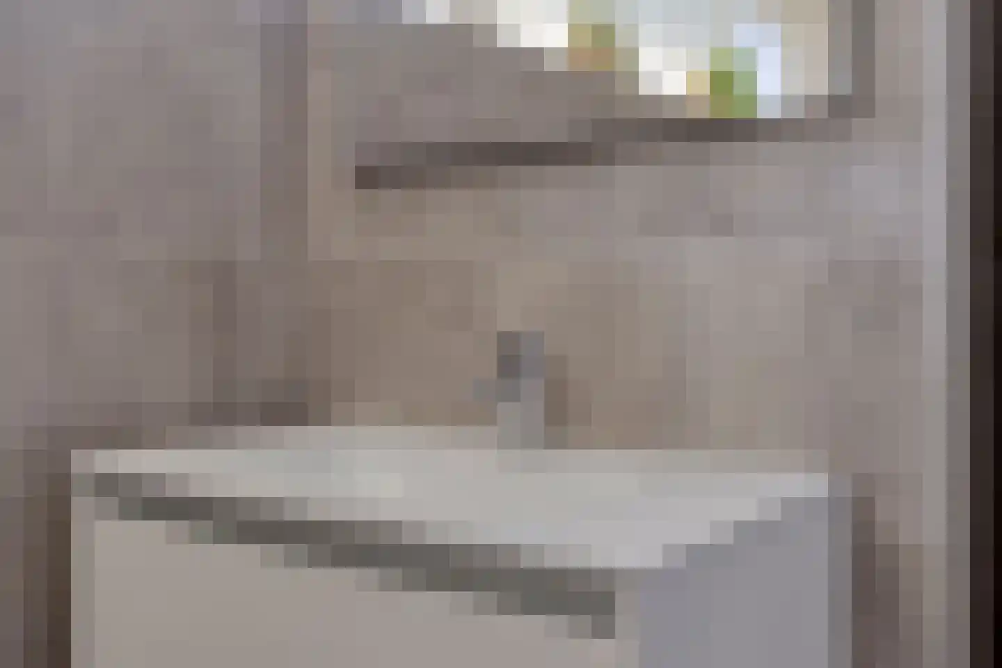Laageindsedijk 3 Rijkevoort thumbnail 36