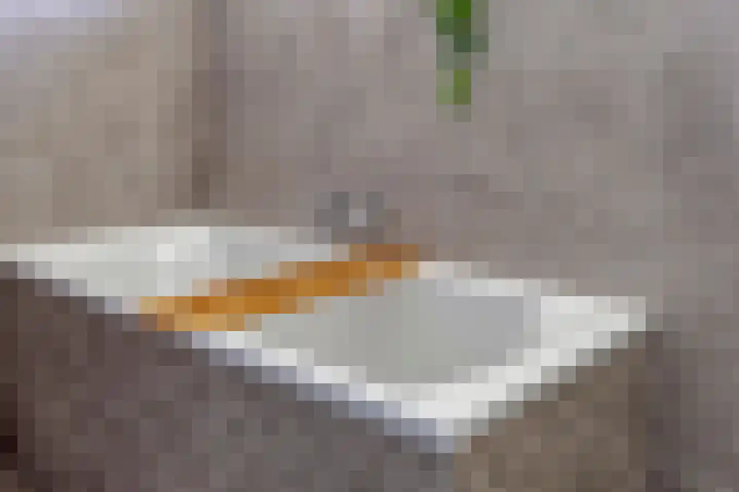 Laageindsedijk 3 Rijkevoort thumbnail 37