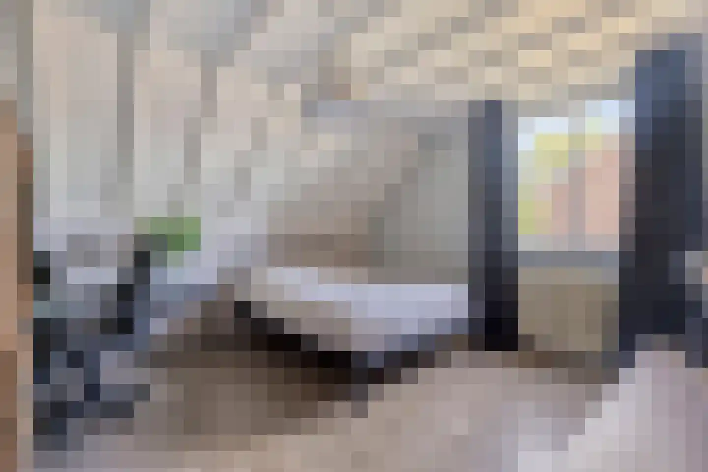 Laageindsedijk 3 Rijkevoort thumbnail 38