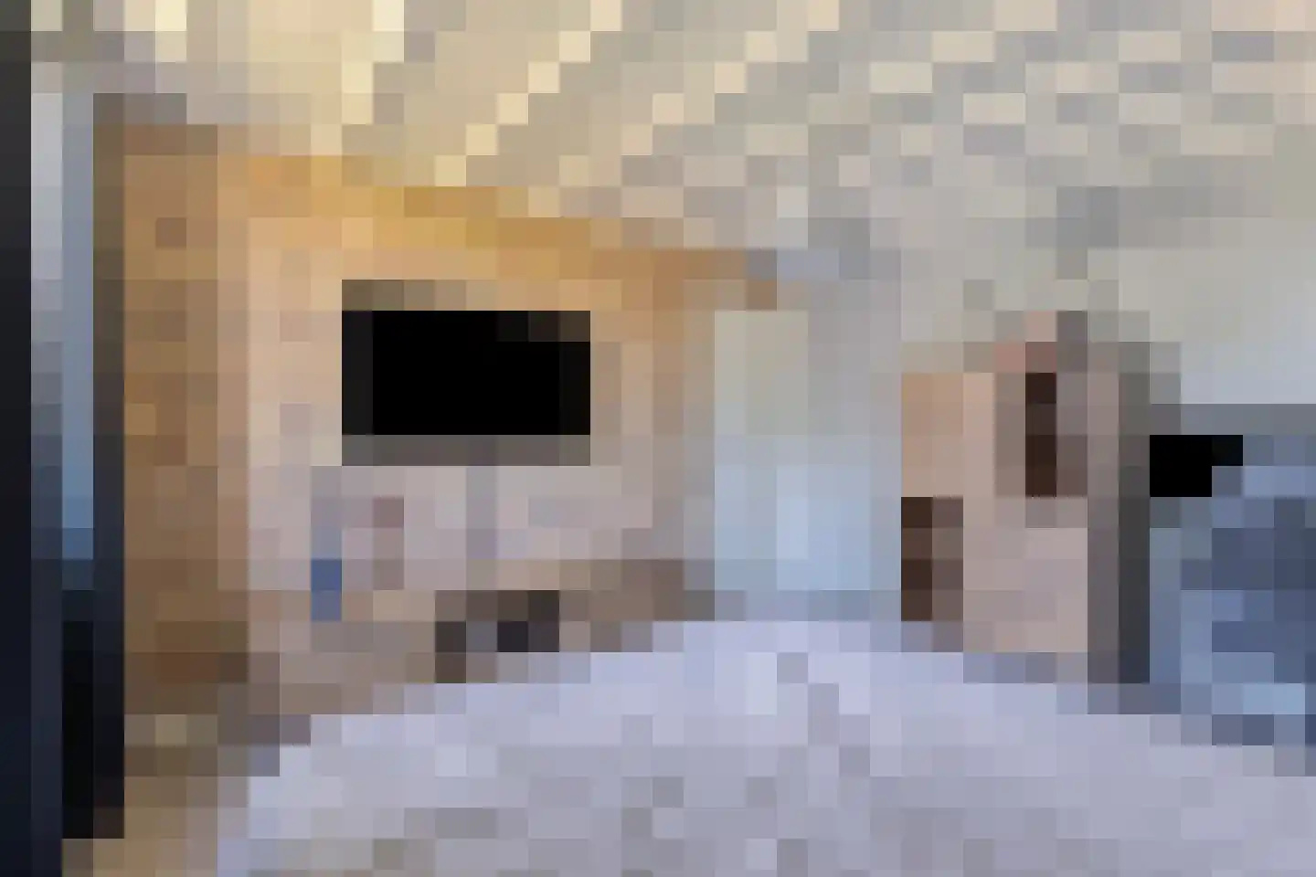 Laageindsedijk 3 Rijkevoort thumbnail 39