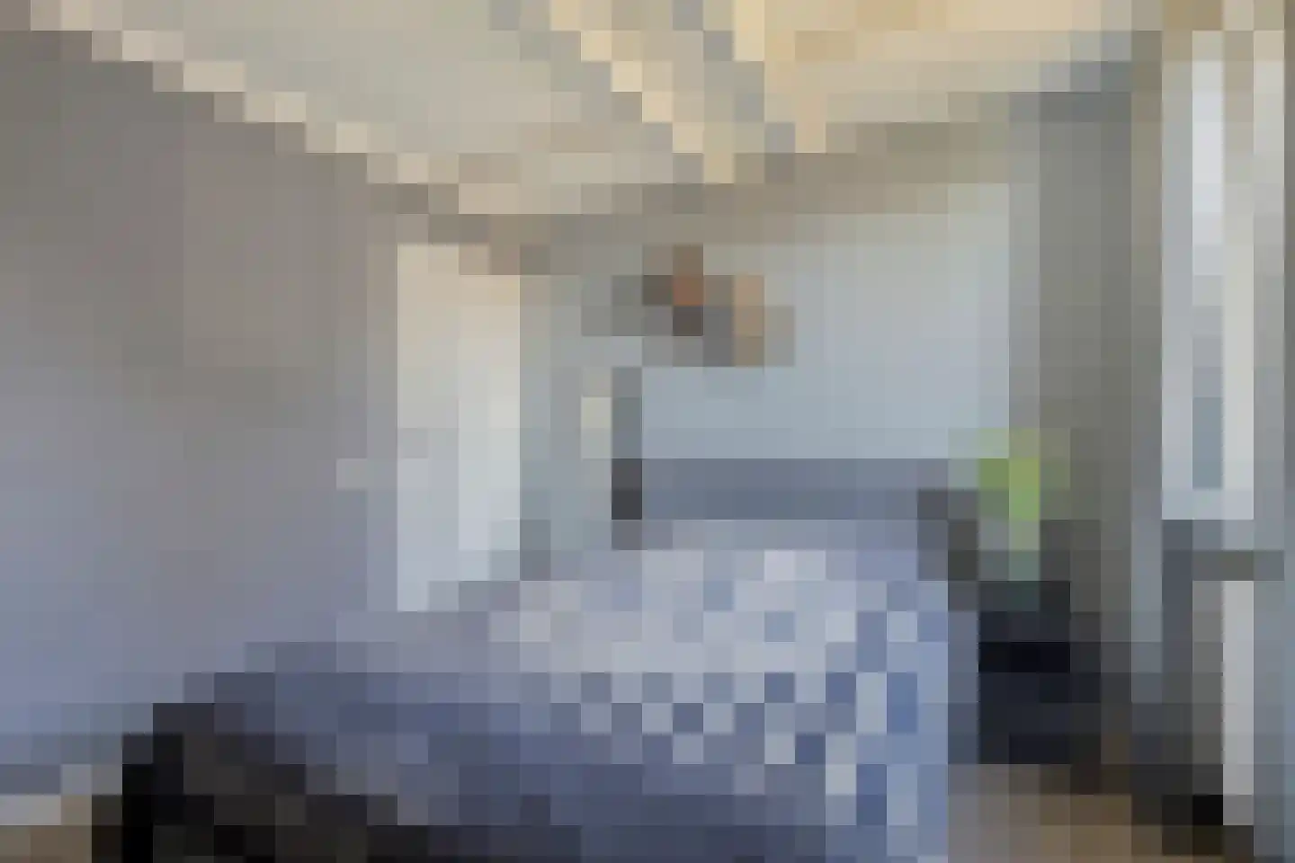 Laageindsedijk 3 Rijkevoort thumbnail 40
