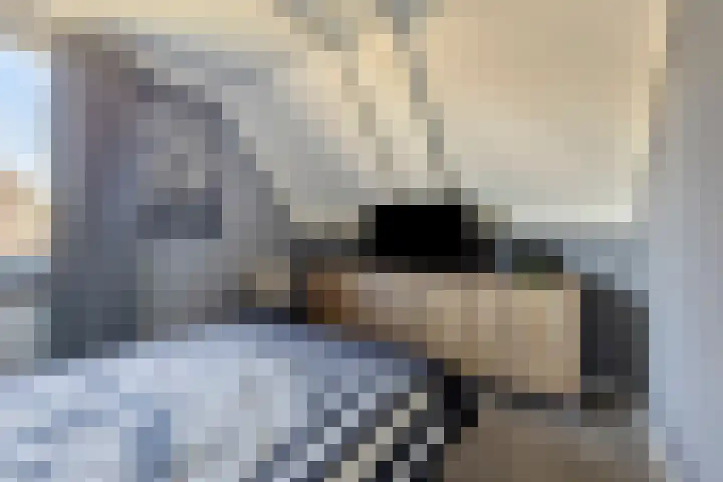 Laageindsedijk 3 Rijkevoort thumbnail 41