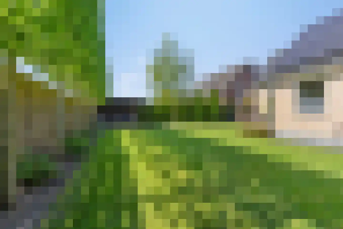 Laageindsedijk 3 Rijkevoort thumbnail 46