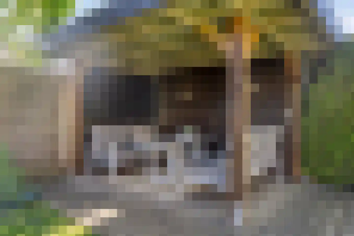 Laageindsedijk 3 Rijkevoort thumbnail 48