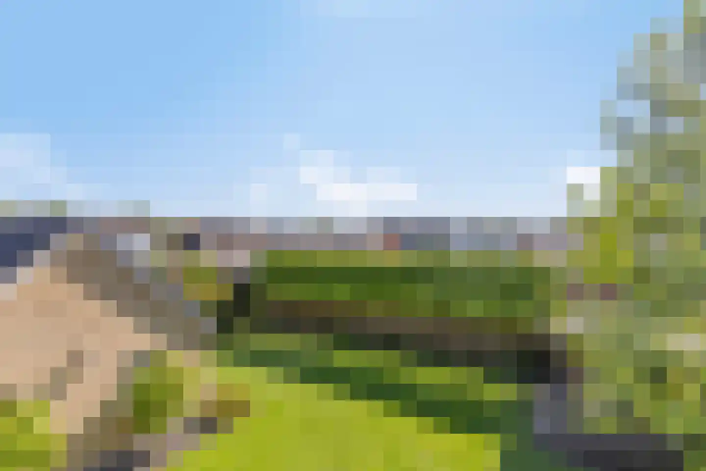 Laageindsedijk 3 Rijkevoort thumbnail 50
