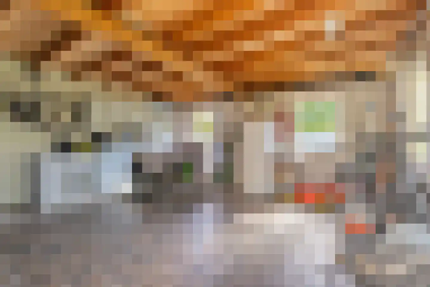 Laageindsedijk 3 Rijkevoort thumbnail 51