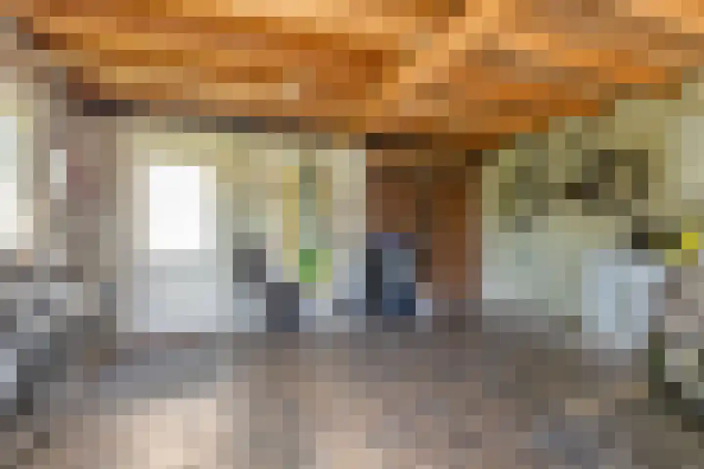 Laageindsedijk 3 Rijkevoort thumbnail 52