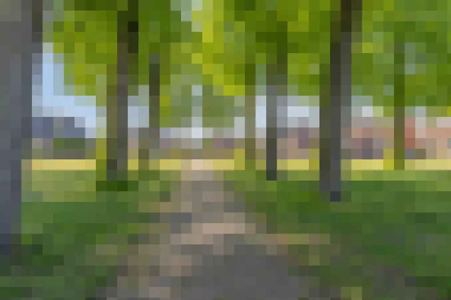 Laageindsedijk 3 Rijkevoort thumbnail 54