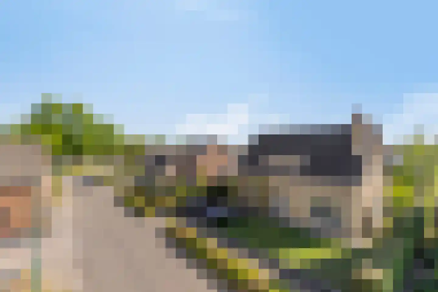 Laageindsedijk 3 Rijkevoort thumbnail 8