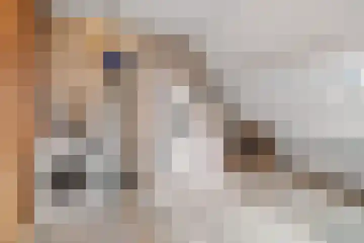 Laagerf 11 Breda thumbnail 29