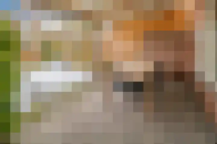 Laagerf 11 Breda thumbnail 30