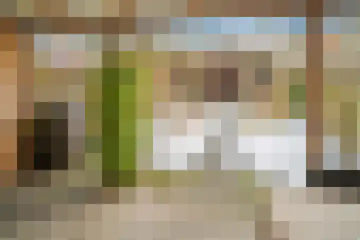 Laagerf 11 Breda thumbnail 31