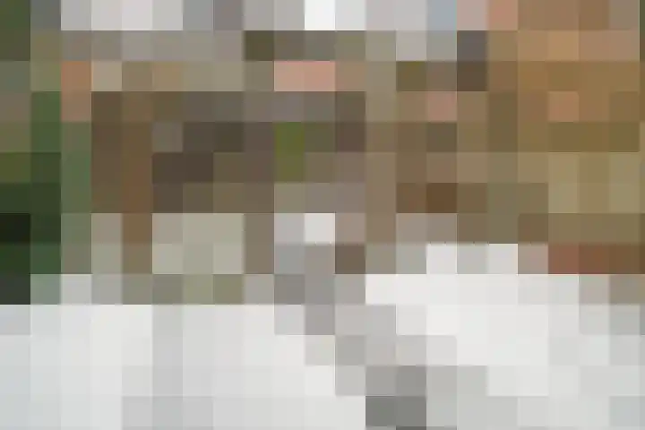 Laagerf 11 Breda thumbnail 33