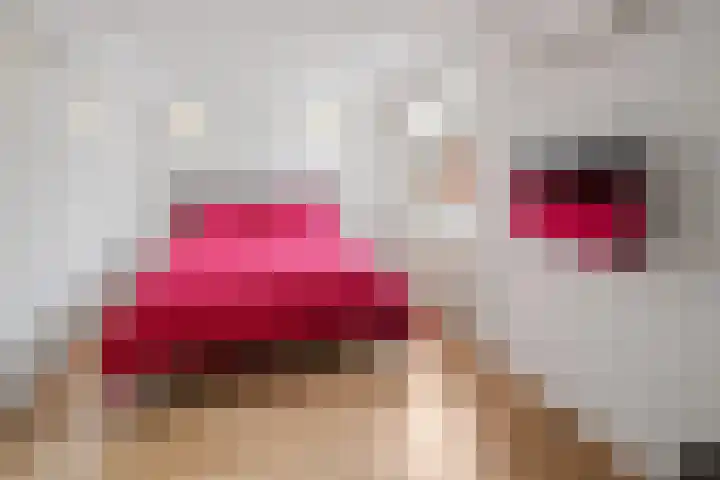 Laagerf 11 Breda thumbnail 4