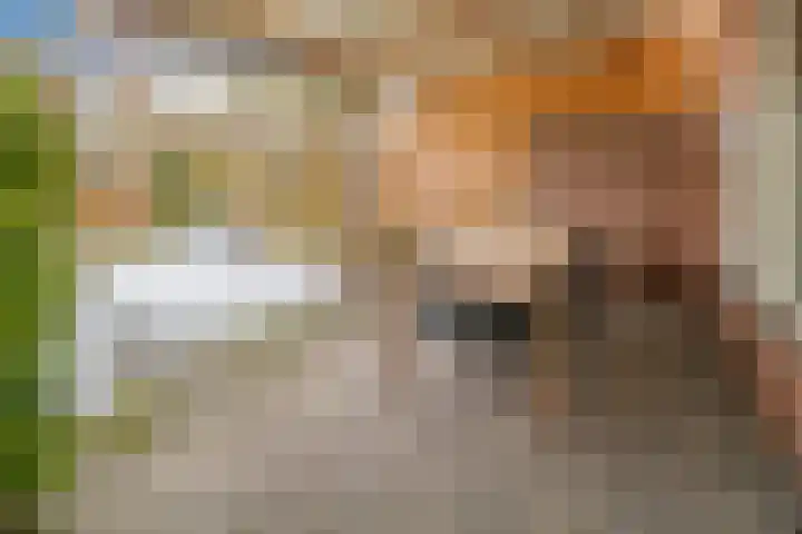 Laagerf 11 Breda thumbnail 5
