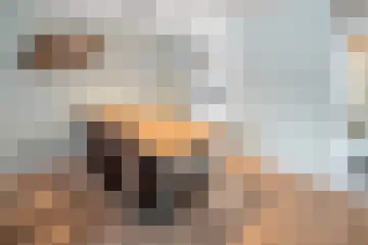 Laagerf 11 Breda thumbnail 9
