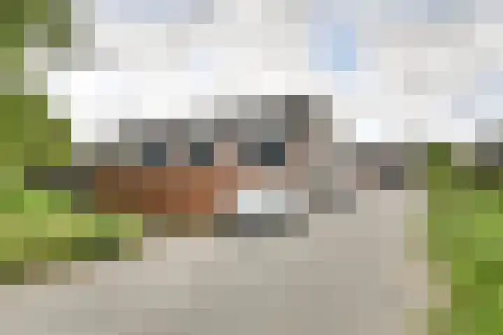 Laagerf 39 Breda thumbnail 25