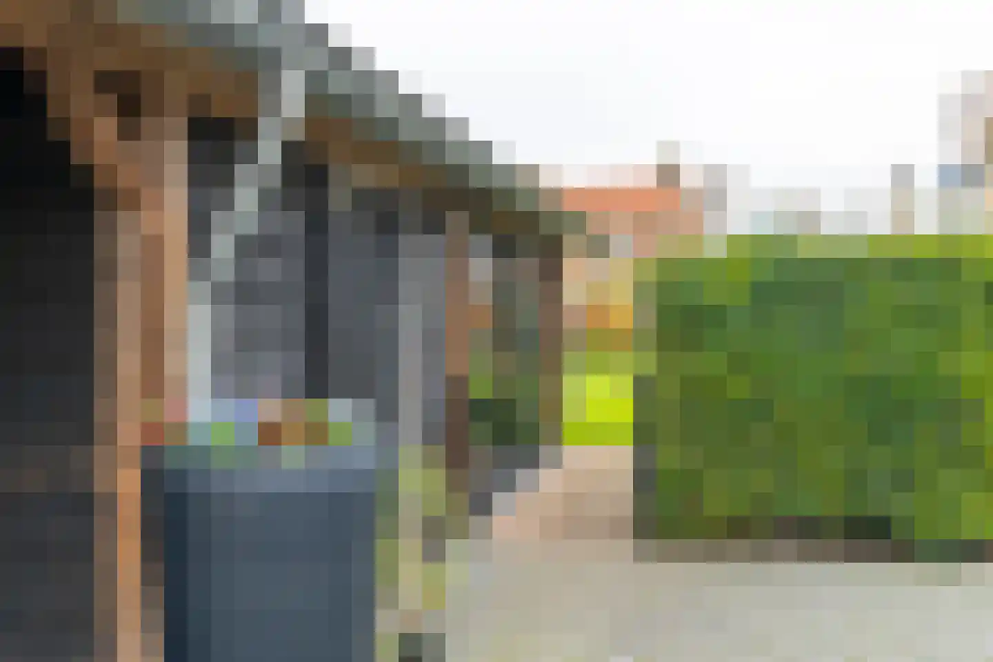 Laagerfseweg 28 Woudenberg thumbnail 36