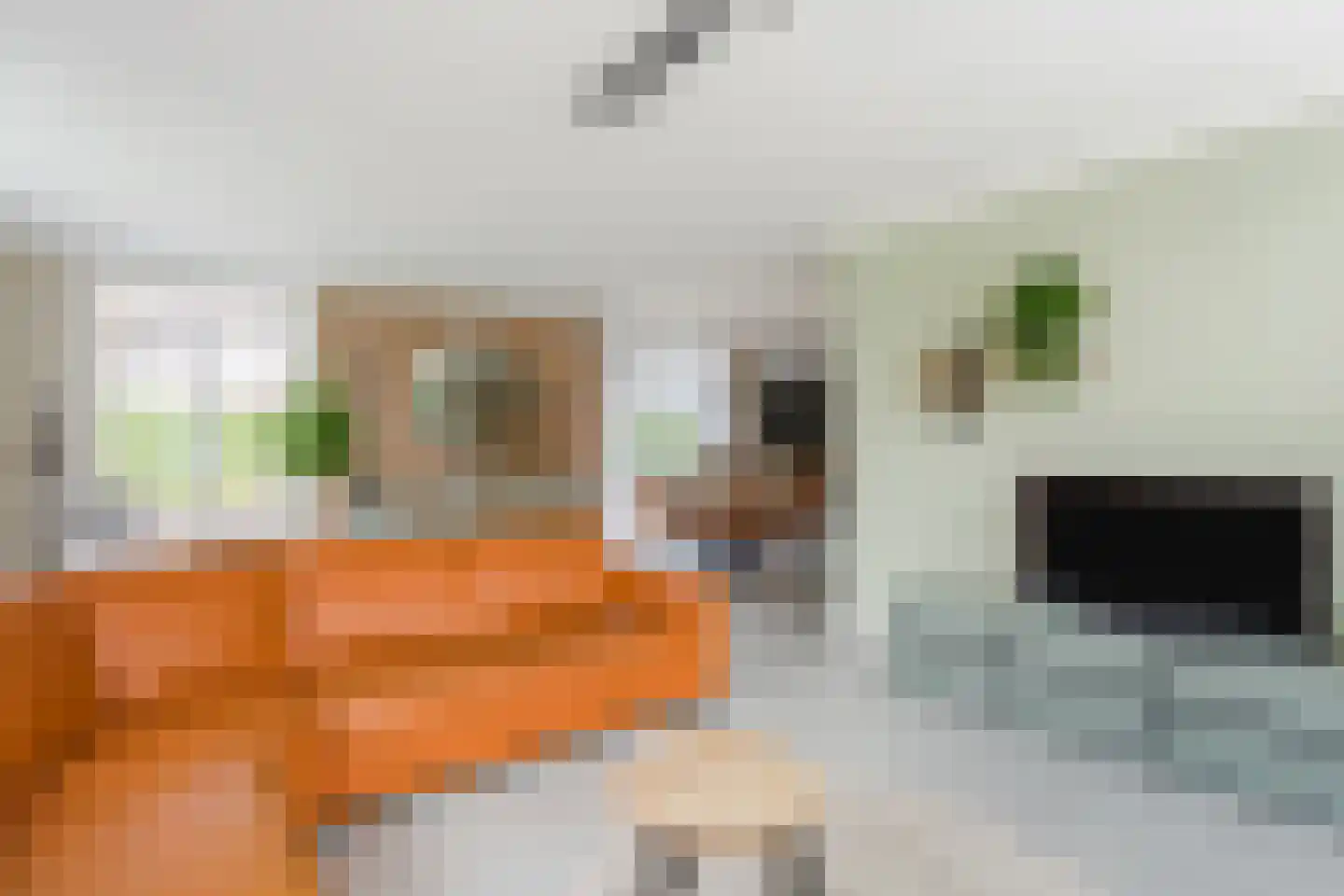 Laagerfseweg 3 Woudenberg thumbnail 15