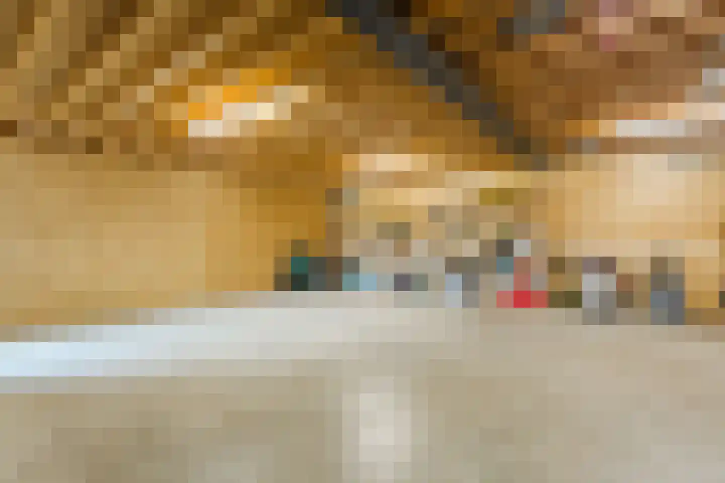 Laagerfseweg 3 Woudenberg thumbnail 30