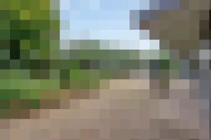 Laagerfseweg 58 Woudenberg thumbnail 32