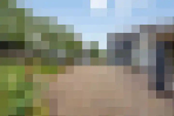 Laagerfseweg 58 Woudenberg thumbnail 33