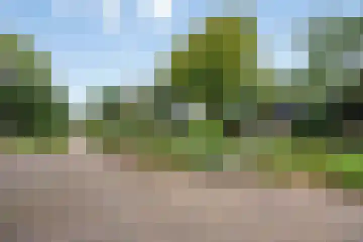 Laagerfseweg 58 Woudenberg thumbnail 34