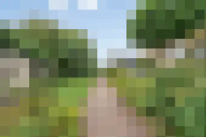 Laagerfseweg 58 Woudenberg thumbnail 35