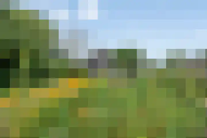 Laagerfseweg 58 Woudenberg thumbnail 36