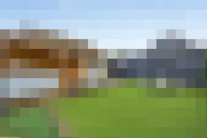 Laagerfseweg 58 Woudenberg thumbnail 51