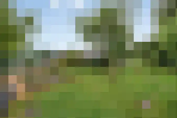 Laagerfseweg 58 Woudenberg thumbnail 52
