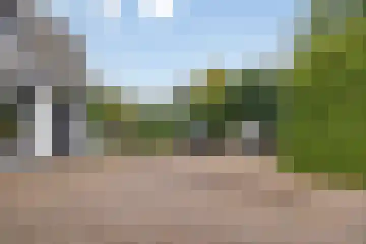 Laagerfseweg 58 Woudenberg thumbnail 7