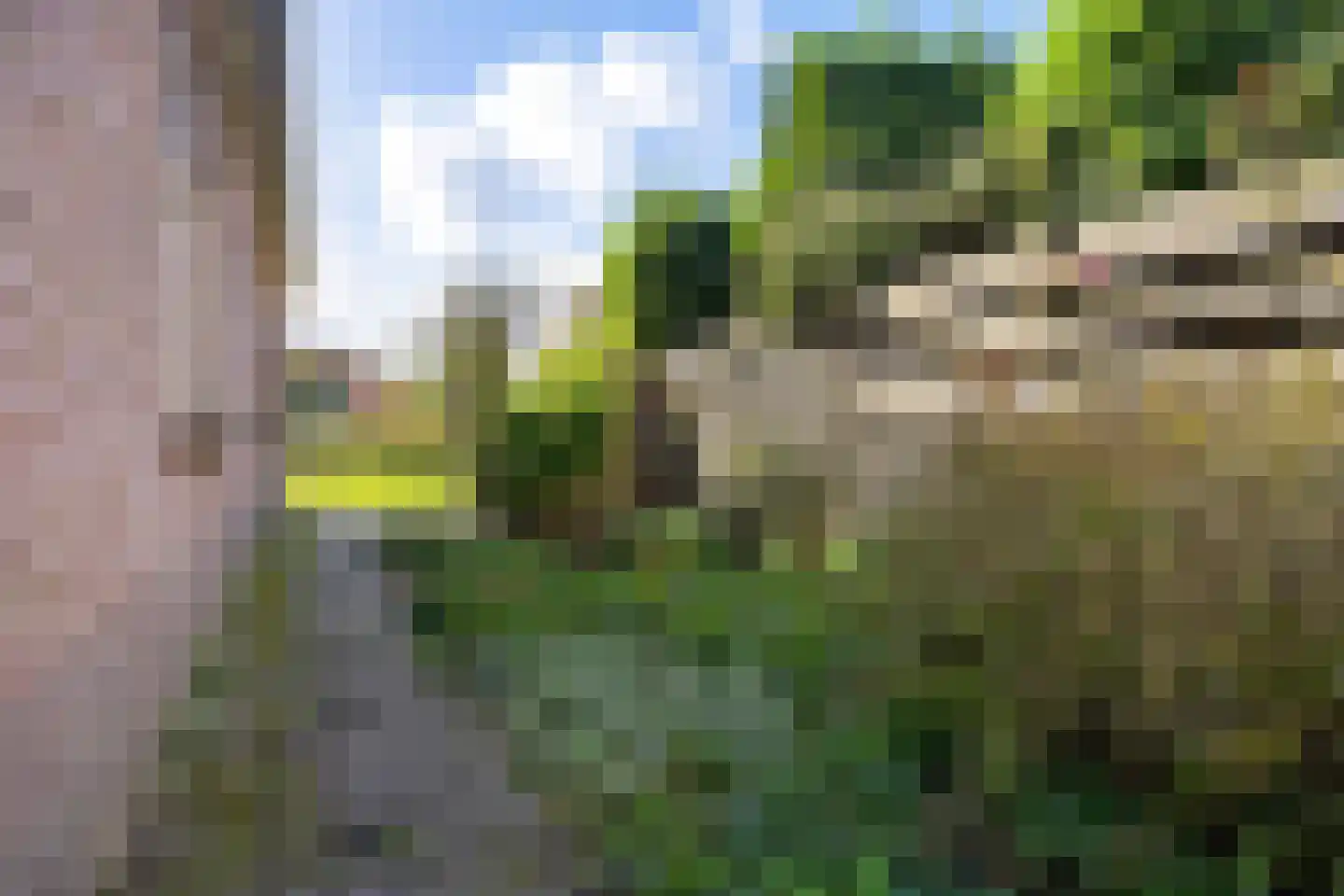 Laagerfseweg 8 Woudenberg thumbnail 41