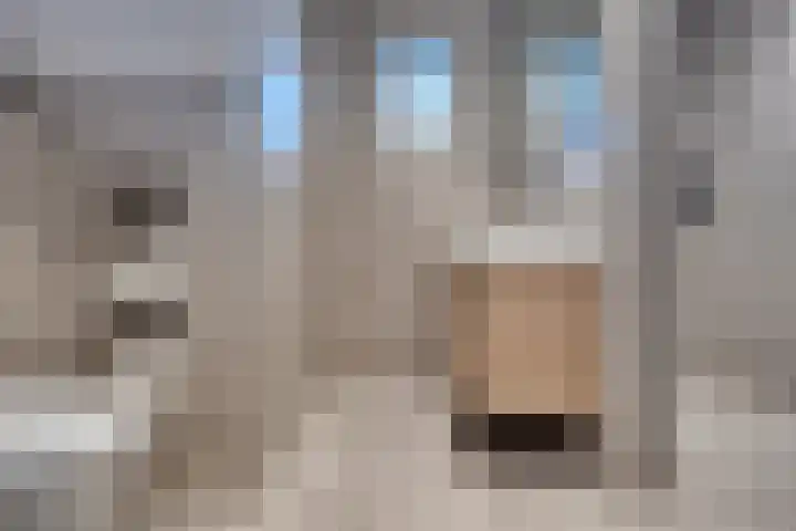 Laaghalerstraat 30 Hooghalen thumbnail 20