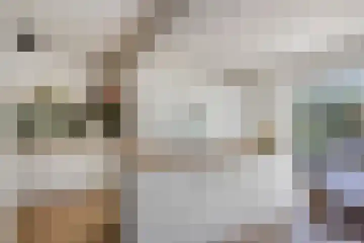 Laaghei 2 Veldhoven thumbnail 10