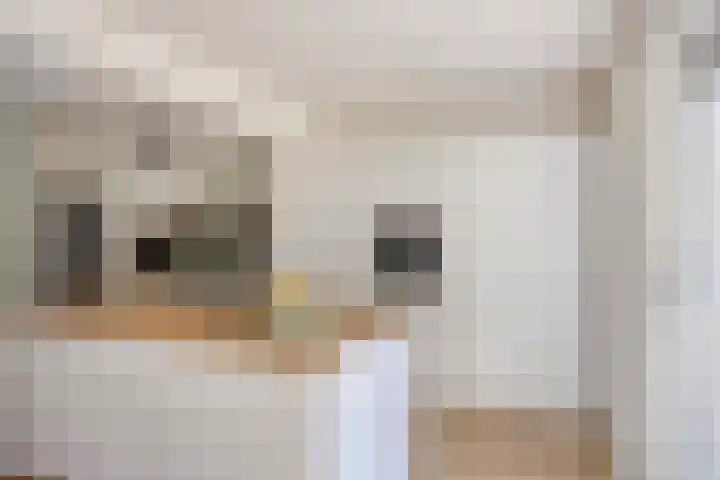 Laaghei 2 Veldhoven thumbnail 11