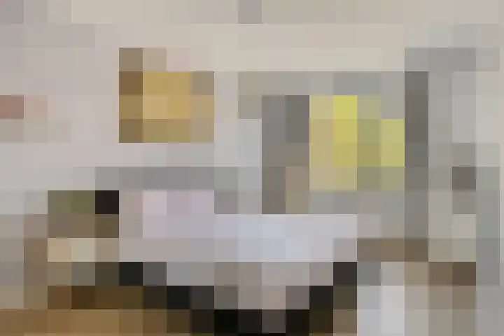 Laaghei 2 Veldhoven thumbnail 17