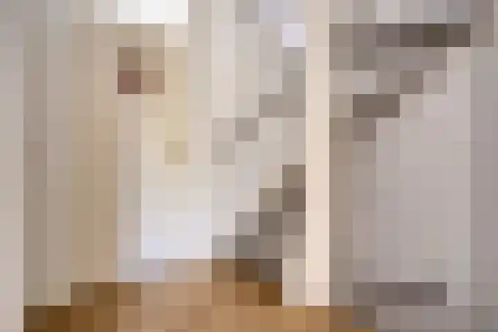 Laaghei 2 Veldhoven thumbnail 23