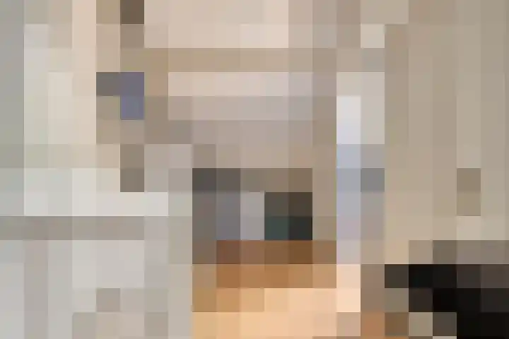 Laaghei 2 Veldhoven thumbnail 24