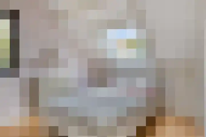Laaghei 2 Veldhoven thumbnail 25